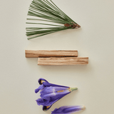 Pine Grove : Eau de Perfume